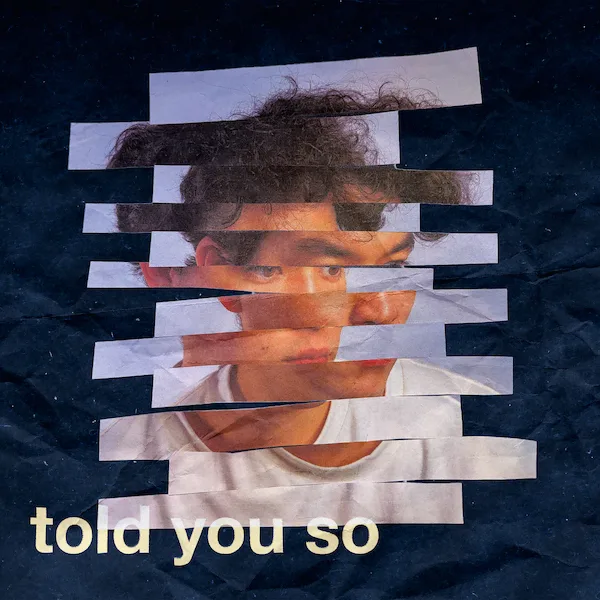 told you so cover art